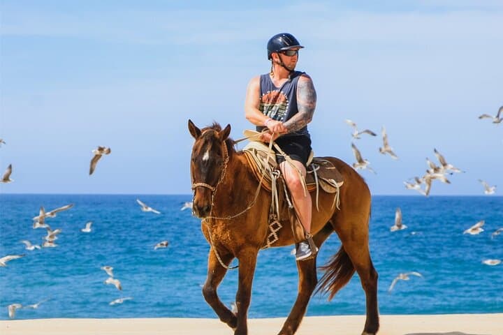 Cabo ATV, Camel & Horseback Adventure at Migriño Beach photo 3