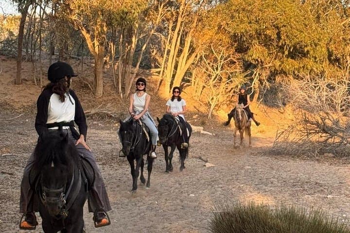Essaouira Horseback Ride Along Diabat River, Dunes & Mogador Views photo 3