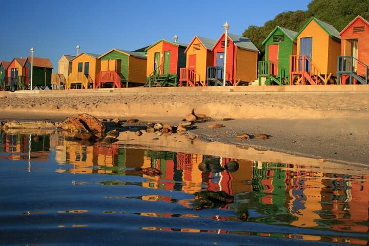 Table Mountain, Cape Point & African Penguins: Full-Day Cape Town Tour (All Fees Included) photo 3