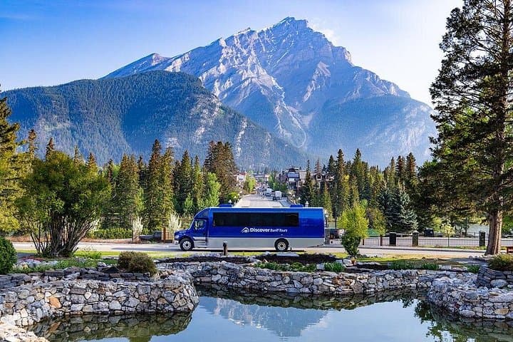 Banff Morning Tour: Gondola to Sulphur Mountain and Bow Valley Highlights photo 3