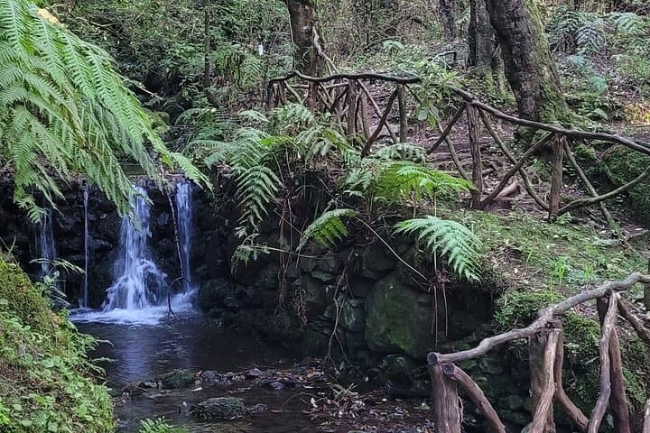 Private Jeep Tours in Madeira: Beyond the Ordinary Off-Road Adventures photo 3