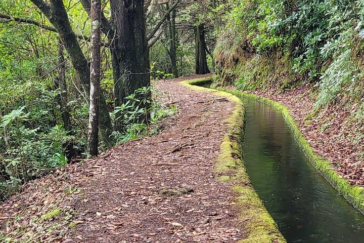 Private Jeep Tours in Madeira: Beyond the Ordinary Off-Road Adventures photo 6