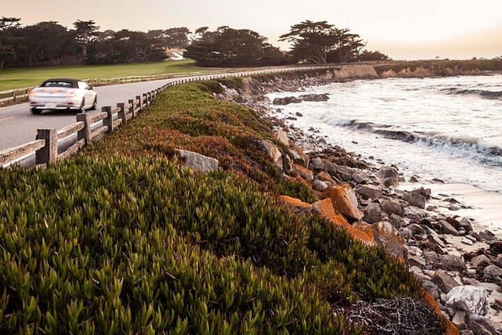 Self-Guided Carmel & 17-Mile Drive with Pintours App photo 3