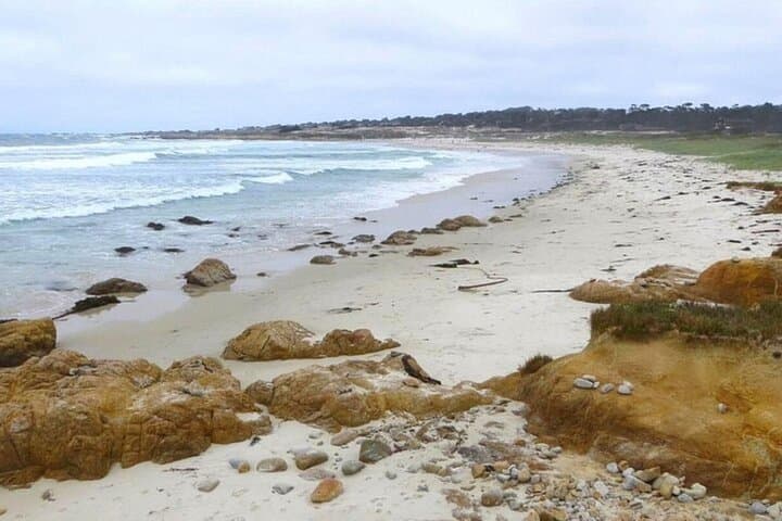 Self-Guided Carmel & 17-Mile Drive with Pintours App photo 4