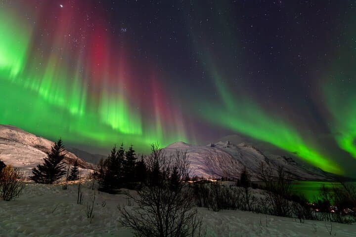 Chasing the Northern Lights from Tromsø: Small-Group Aurora Hunt with Photos & Snacks