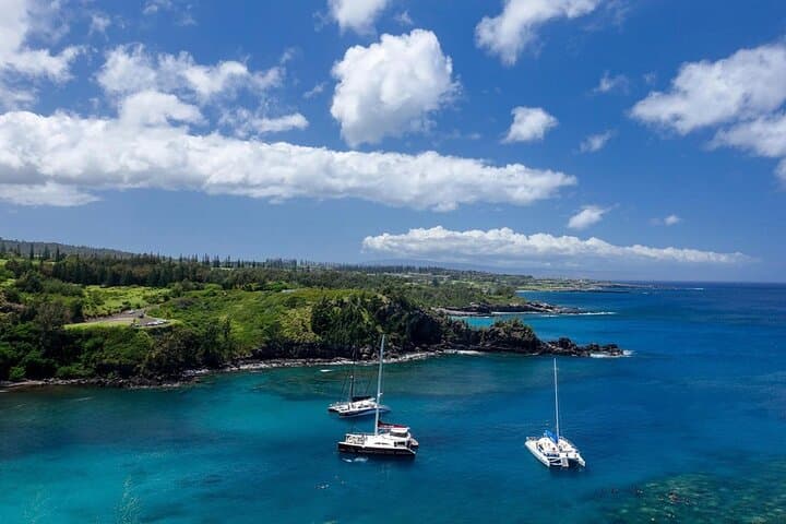 Open-Air West Maui Sightseeing — Kāʻanapali to Honolua Bay photo 5