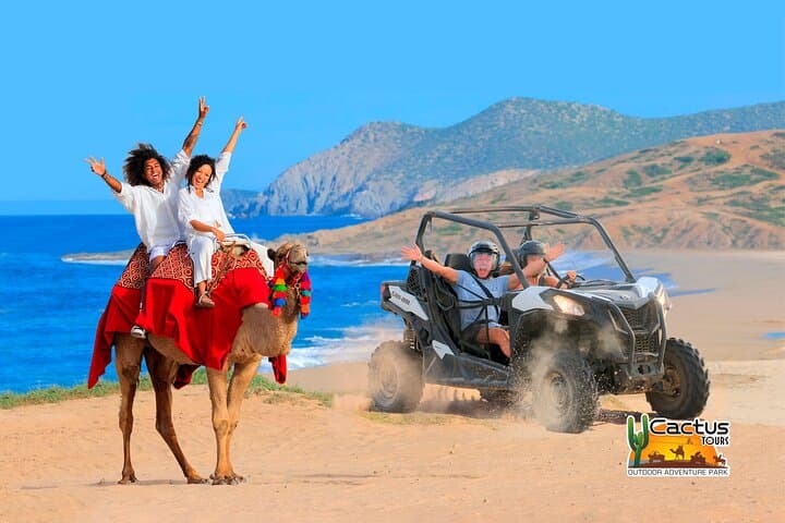 Beach UTV & Camel Ride Combo in Cabo — Dunes, Pacific Beaches & Tequila Tasting