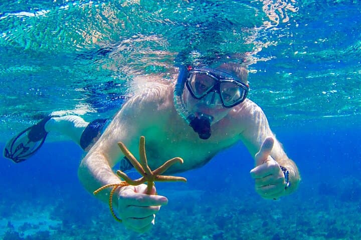 Negril Reef Snorkeling & Booby Cay Island: Glass-Bottom Boat Tour from Princess Grand photo 5