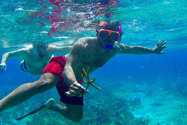 Negril Reef Snorkeling & Booby Cay Island: Glass-Bottom Boat Tour from Princess Grand photo 6
