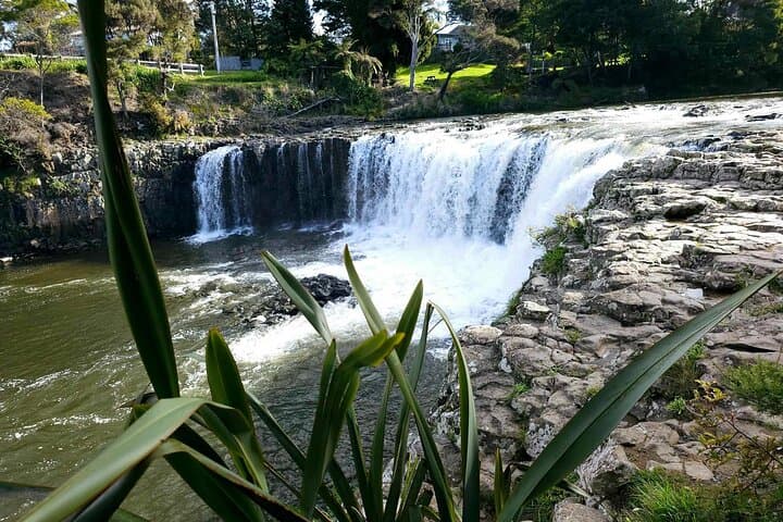 Haruru Waterfalls & Kawiti Glow Worm Caves Tour — Bay of Islands Day Trip photo 5