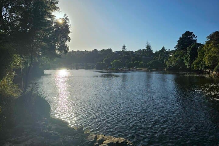 Haruru Waterfalls & Kawiti Glow Worm Caves Tour — Bay of Islands Day Trip photo 6