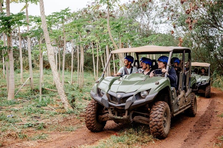 Oahu North Shore 8-Line Zipline at Keana Farms — Ridgetop Ziplines & ATV Transfer photo 2