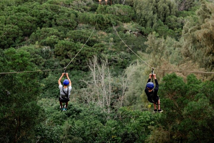 Oahu North Shore 8-Line Zipline at Keana Farms — Ridgetop Ziplines & ATV Transfer photo 4