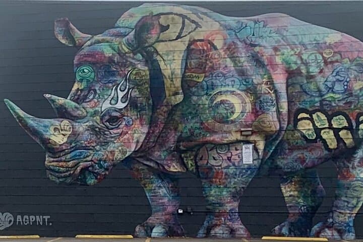 Walking the Walls: A Street Art Immersion in Denver’s RiNo District photo 2