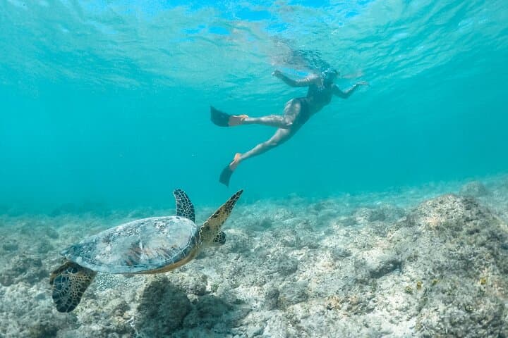 Explore Kailua Bay: Kayak and Snorkel Adventures to Mokulua Islands with Lunch photo 6