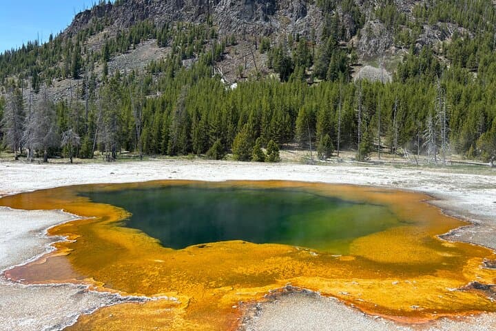 Private Yellowstone Natural Wonders Tour from Jackson Hole — Geysers, Falls & Wildlife photo 6