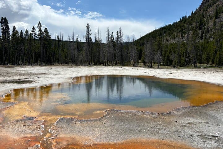Private Yellowstone Natural Wonders Tour from Jackson Hole — Geysers, Falls & Wildlife photo 3