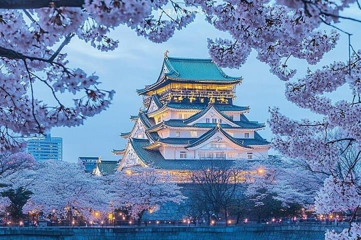 Osaka 8-Hour Private Highlights Tour — Castle, Dotonbori & Kuromon Market