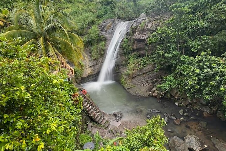 Half-Day Grenada Tour: Fort Frederick, Nutmeg Museum, Chocolate Factory & Concord Falls photo 4