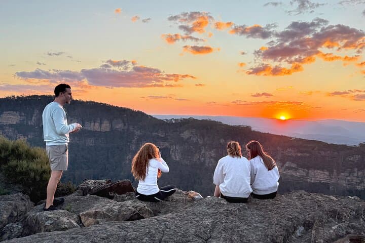 Blue Mountains Wild Kangaroos & Sunset Wilderness Tour