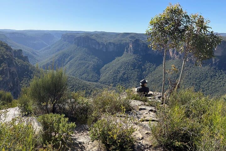 Blue Mountains Wild Kangaroos & Sunset Wilderness Tour photo 5