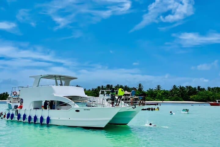 Punta Cana Party Boat: Snorkel, Dolphins & Natural Pool Open-Bar Cruise