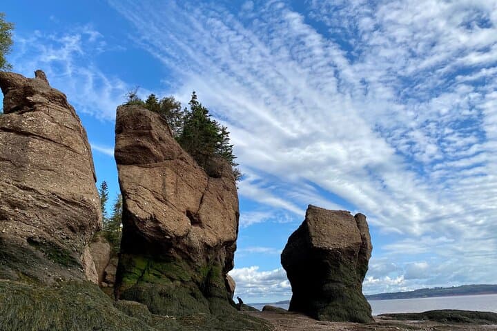 Hopewell Rocks & Fundy National Park Shore Excursion from Saint John photo 5