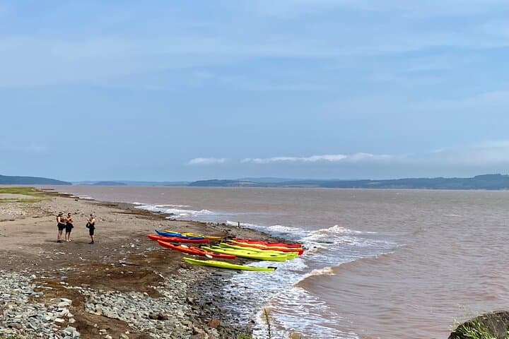 Hopewell Rocks & Fundy National Park Shore Excursion from Saint John photo 6