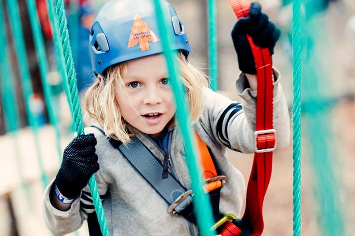 Junior Tree Ropes & Zipline Adventure at Lane Poole Reserve photo 2