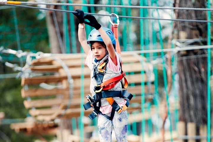 Hollybank Junior Tree Ropes Course — Launceston Family Aerial Adventure photo 3