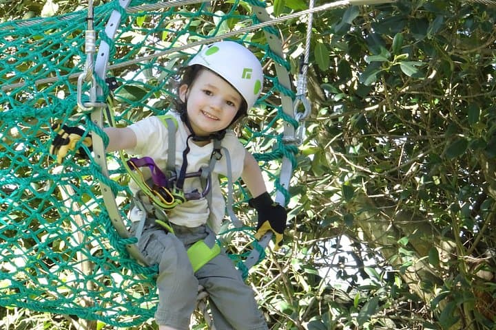 Hollybank Junior Tree Ropes Course — Launceston Family Aerial Adventure photo 4