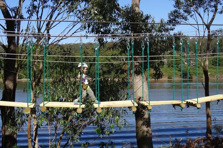 Junior Tree Ropes & Zipline Adventure at Lane Poole Reserve photo 5