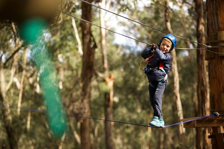 Junior Tree Ropes & Zipline Adventure at Lane Poole Reserve photo 4