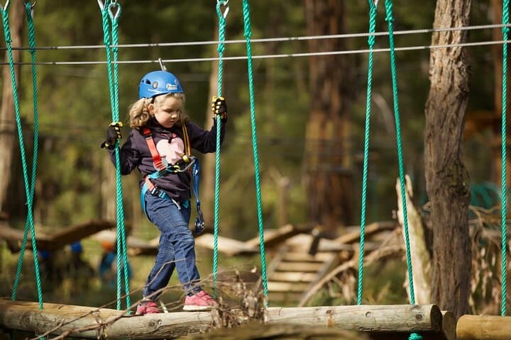 Hollybank Junior Tree Ropes Course — Launceston Family Aerial Adventure photo 1
