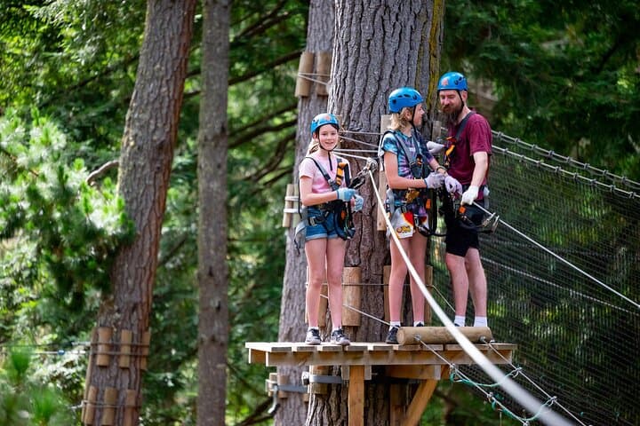 Hollybank Tree Ropes Experience — Launceston’s Self-Guided Forest Canopy Course photo 2