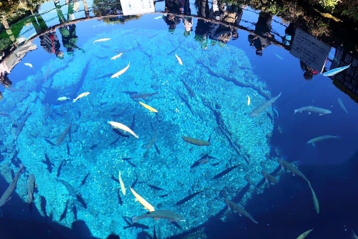 Mt. Fuji Panoramic Ropeway, Oshino Hakkai & Kawaguchiko Day Tour from Tokyo photo 4