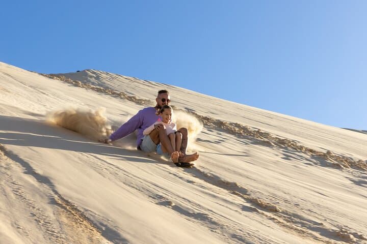 Port Stephens Dolphin Cruise, Koala Sanctuary & Stockton Sand Dune Sandboarding (Full-Day from Sydney) photo 2