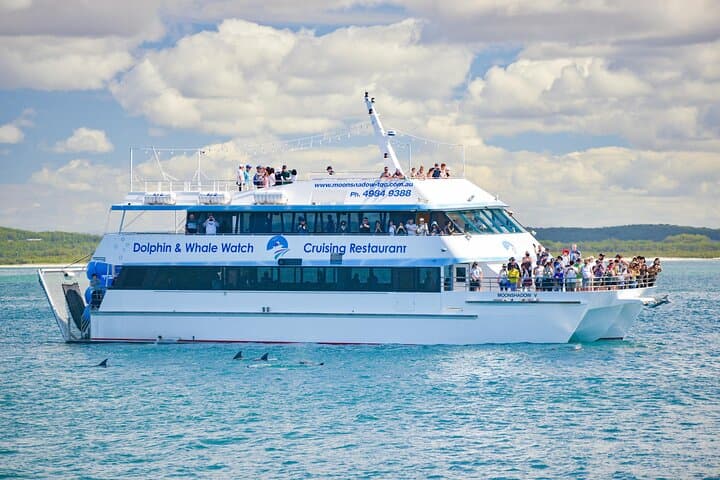 Port Stephens Dolphin Cruise, Koala Sanctuary & Stockton Sand Dune Sandboarding (Full-Day from Sydney) photo 6