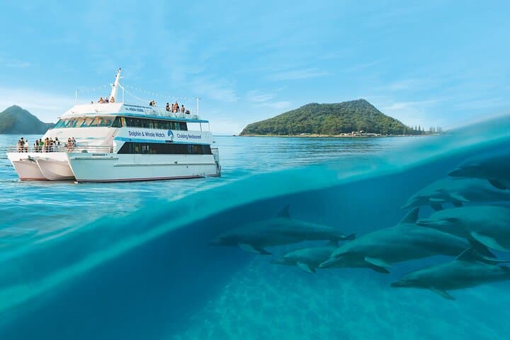 Port Stephens Dolphin Cruise, Koala Sanctuary & Stockton Sand Dune Sandboarding (Full-Day from Sydney)