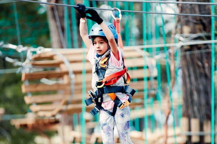 Junior Tree Ropes & Zipline Adventure at Lane Poole Reserve photo 3