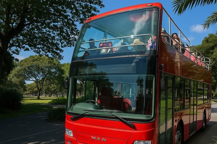 Cairns Hop-On Hop-Off Bus: Easy Stops at the Esplanade, Aquarium & Botanic Gardens photo 1