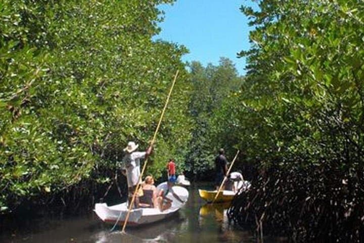 Full-Day Nusa Lembongan Mangrove and Coast Tour from Sanur photo 1