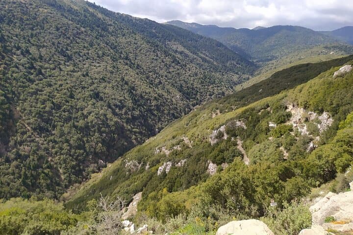 One-Day Hiking Escape: Mainalo Forests & Arkoudorema Ravine in Arcadia photo 4