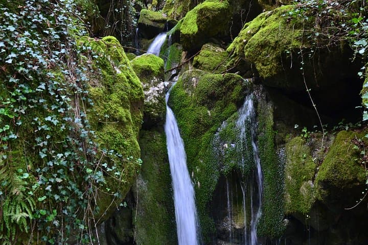 One-Day Hiking Escape: Mainalo Forests & Arkoudorema Ravine in Arcadia photo 5
