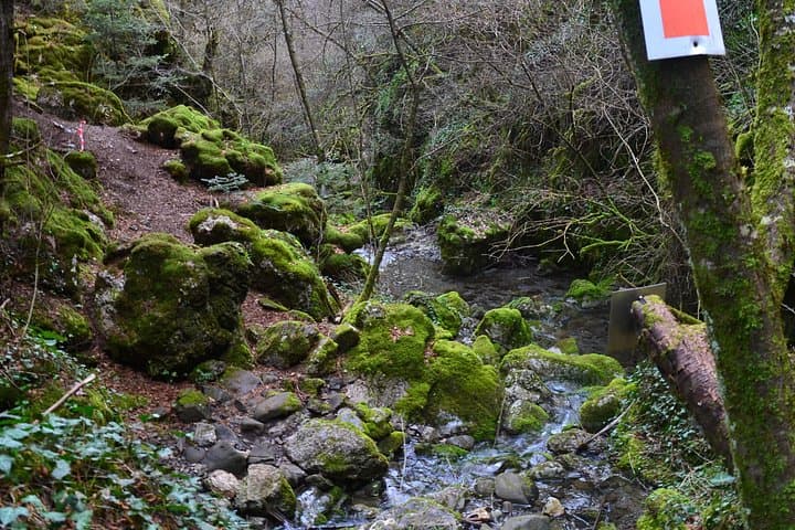 One-Day Hiking Escape: Mainalo Forests & Arkoudorema Ravine in Arcadia
