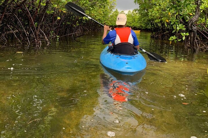 Uzi Island Eco-Kayak Adventure: Paddle Mangrove Tunnels & Swahili Village