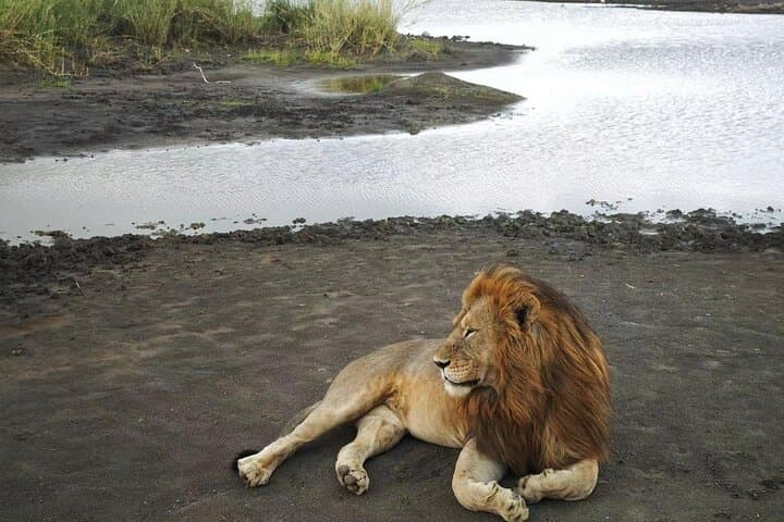 2-Day Camping Safari: Tarangire & Ngorongoro Crater Adventure photo 2