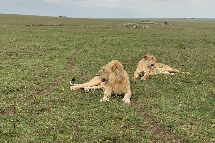2-Day Camping Safari: Tarangire & Ngorongoro Crater Adventure photo 3
