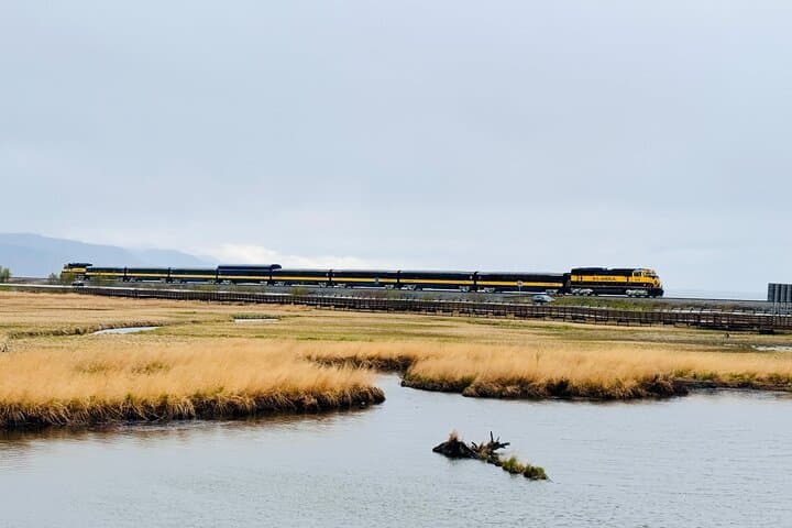 Alaska’s Whittier Cruise Transfer: Scenic Wildlife and Wilderness Tour photo 4