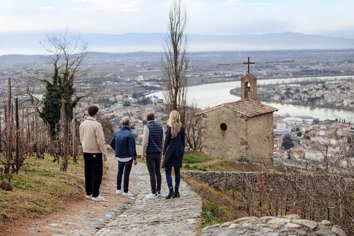 Rhône Valley Wine and Chocolate Day Tour from Lyon — Tain-l’Hermitage & Côte Rôtie